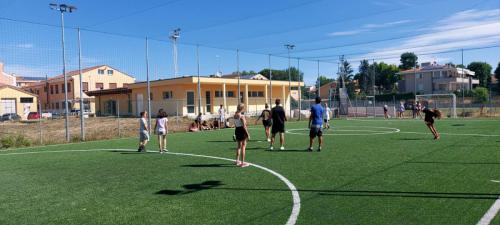 IMG-20210728-WA0001
