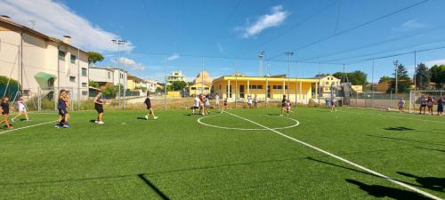 IMG-20210728-WA0002