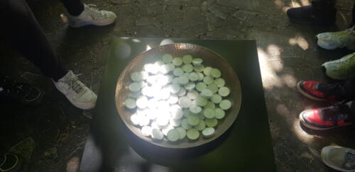 20250424 103913