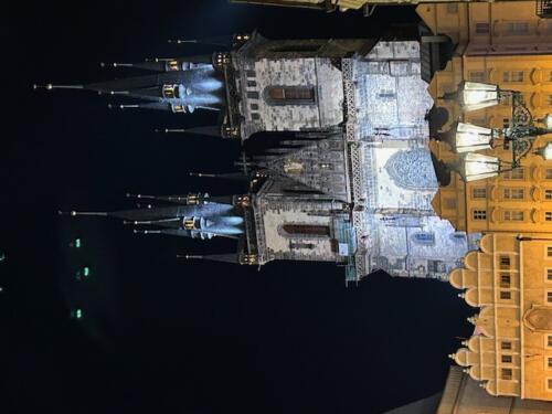 IMG 3559