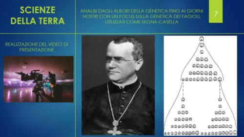 PPT TOMBOLA ELEMENTI page-0008
